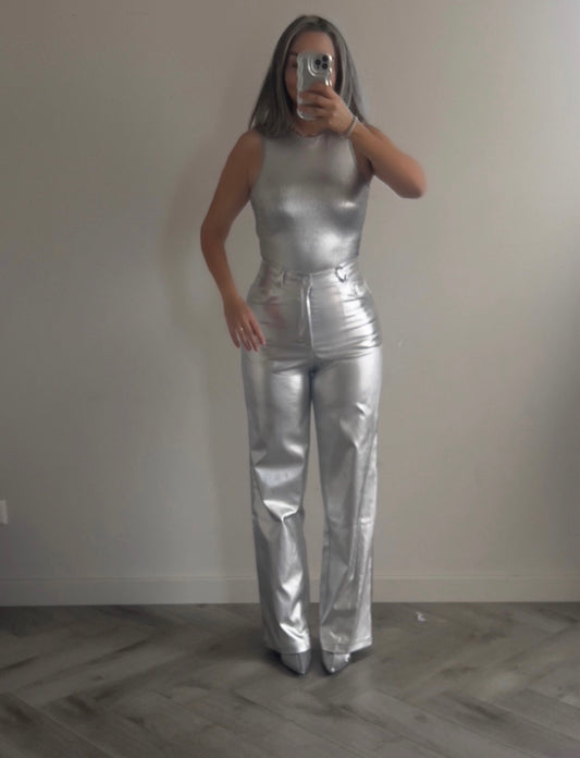 Metallic body Silver